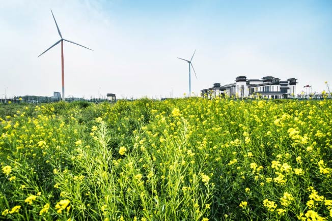 河南罗山邵湾14MW分散式风电项目建设用地征收土地公告
