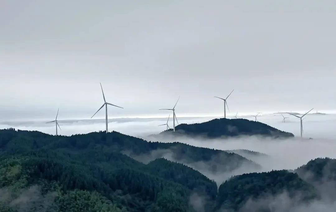 长三角地区首个新能源大型风光基地项目并网发电！