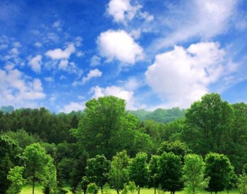 《浙江衢州国家林业<em>碳汇</em>试点市建设实施方案（2023—2025年）》印发！