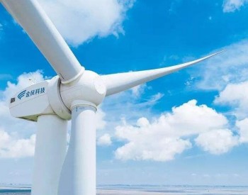京能国际与金风科技就新能源领域合作座谈交流