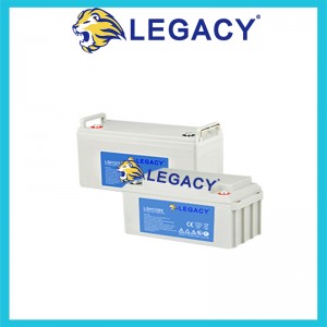 LEGACY蓄电池LGD12/200动力型铅酸电池