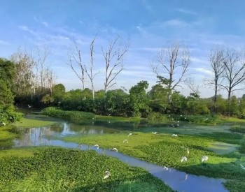 广<em>西河</em>池市生态环境质量持续保持全国前列