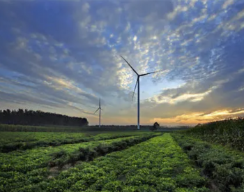 国家能源集团联合动力：<em>十年</em>，在南非树牢中国风机品牌