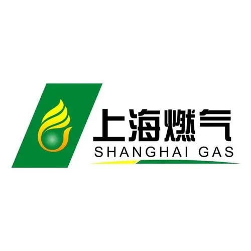 上海然气年供<em>气量</em>首次突破100亿大关