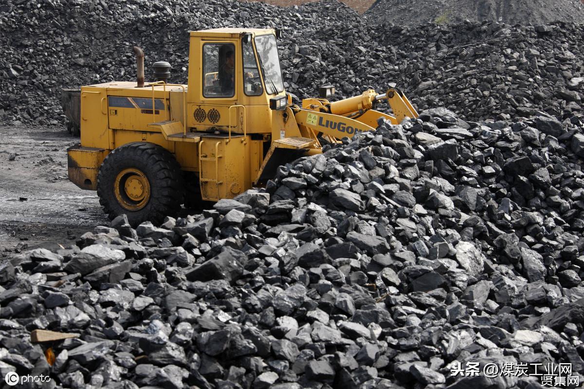 今年港口煤炭发运有望恢复正增长
