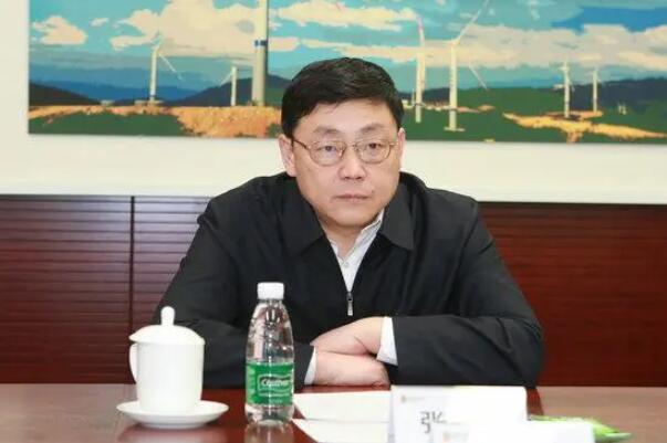 張智剛出任國家電網董事長、黨組書記