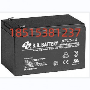 BB battery蓄电池全系列电梯应急防设备用电瓶