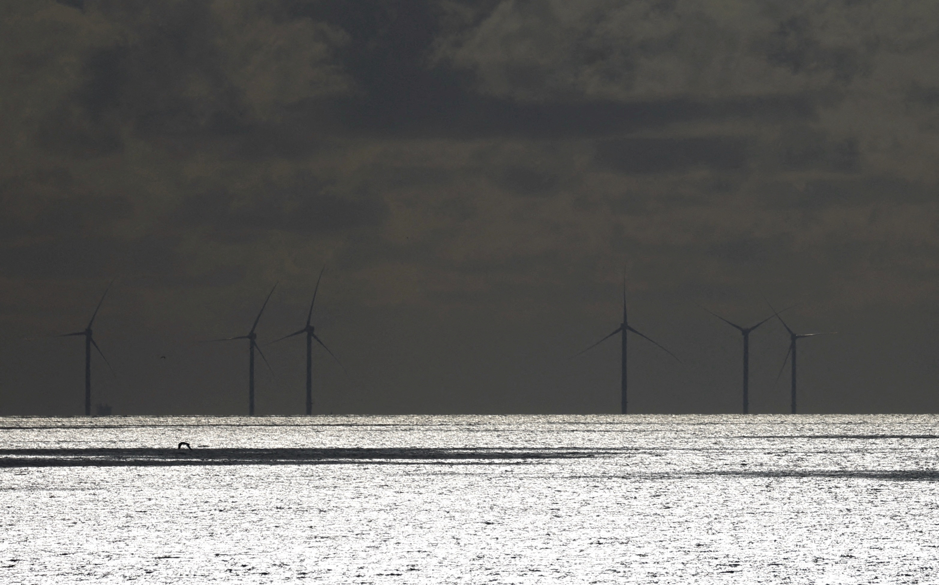 荷兰政府颁发4GW海上风电项目开发许可