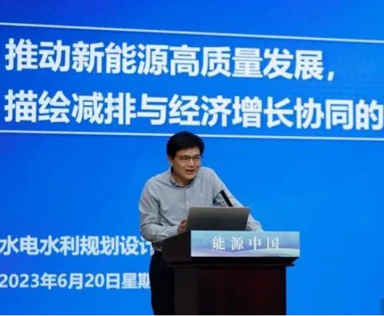 中国电建集团首席专家彭程：中国应坚持能源安全优先！