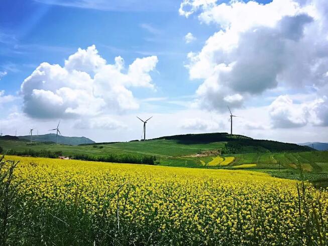 要求单机6.25MW！河南省300MW风电场一期项目招标！