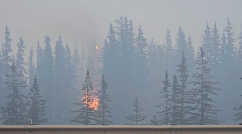加拿大山火蔓延，引发石油供应中断担忧