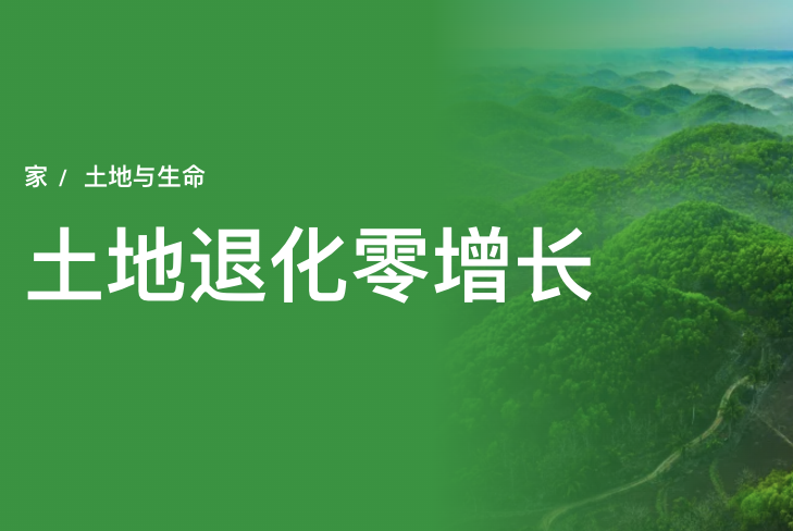 到联合国：到2030年，恢复超过10亿公顷退化土地并