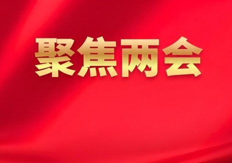 2025年政府工作报告要点：加快建设“沙戈荒”新能源基地！积极稳妥推进碳达峰碳中和！