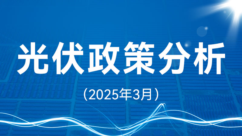 光伏政策分析（2025年3月）专题