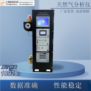 在线天然气分析仪