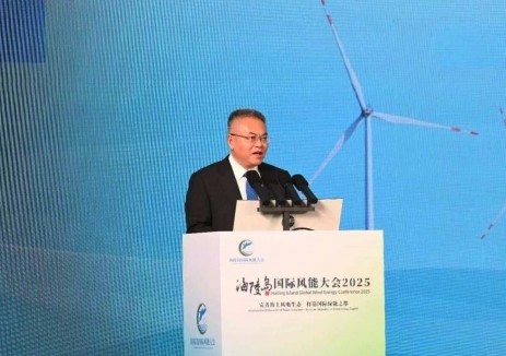 华电集团总经理叶向东：全面助力阳江打造全球海上风电产业高地