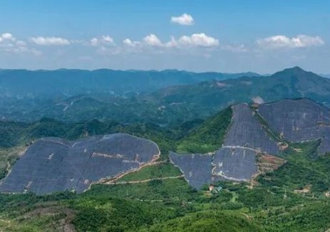 华能通山南林光伏复合发电项目正式投产发电
