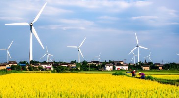 招标｜2478.5MW！国家电投2025年第二批陆上风机规模化采购！