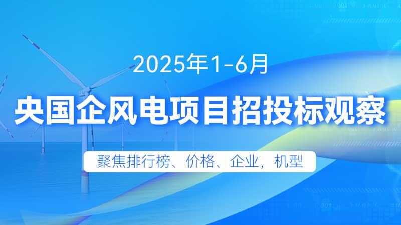 2025年1-6月风电招中标分析（央国企项目）