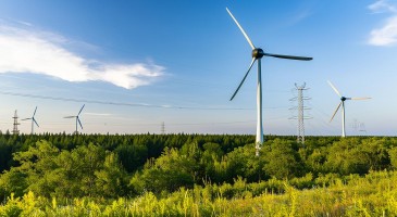 53.4GW！2025年1-5月风电整机商中标统计！（央国企项目）