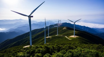 中标 | 合计1050MW！国家能源集团旗下两个风电项目公布中标结果！