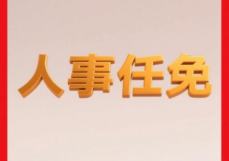 南方电网副总经理调整
