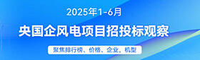 2025年1-6月风电招中标分析（央国企项目）