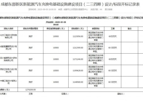 四川成都市东部新区充换电基础设施建设项目开标记