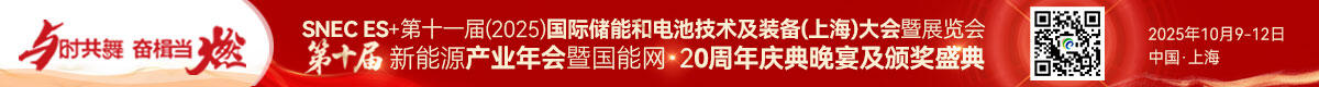 2025第十届新能源产业年会暨国能网20周年庆典