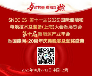 2025第十届新能源产业年会暨国能网20周年庆典