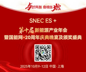 2025第十届新能源产业年会暨国能网20周年庆典
