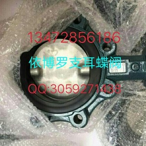 保证原装正品德国EBRO支耳式蝶阀Z014-A