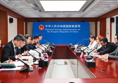国家能源局主要负责人会见葡萄牙环境和能源部部长
