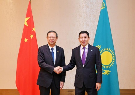 倪真与<em>哈萨克斯坦</em>萨卡基金董事长努尔兰·扎库波夫会谈！深化氢能领域合作