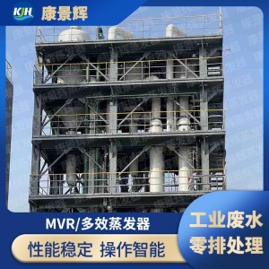 湖北康景辉 强制循环多效蒸发器 蒸发浓缩设备