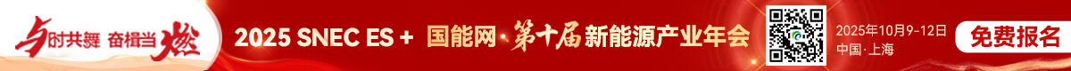 2025 SNEC ES+国能网·第十届新能源产业年会