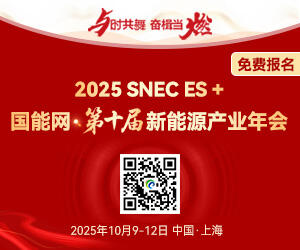 2025 SNEC ES+国能网·第十届新能源产业年会