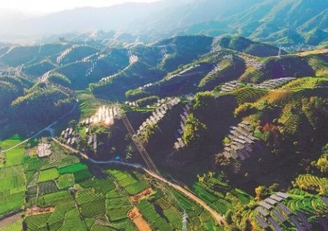 浙江省最大地面<em>集中式光伏</em>項(xiàng)目全容量并網(wǎng)