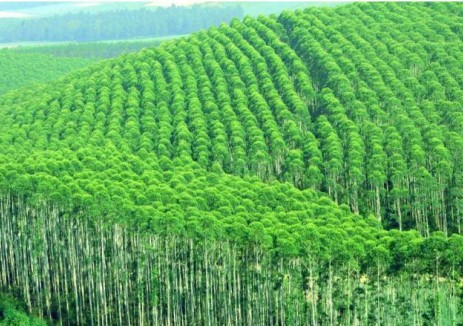 政策解讀《浙江省土壤污染源頭防控實施方案》