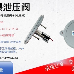 新品防爆阀ExecIICT4Gc认证危险品仓库适配