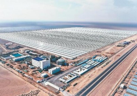 <em>國家能源集團(tuán)</em>首個(gè)線性菲涅爾光熱電站反射鏡安裝完成