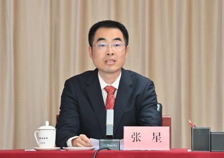 张星：“十五五”时期加快推动新能源“立起来”“靠得住”