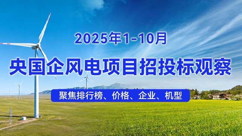 2025年1-10月风电招中标分析（央国企项目）