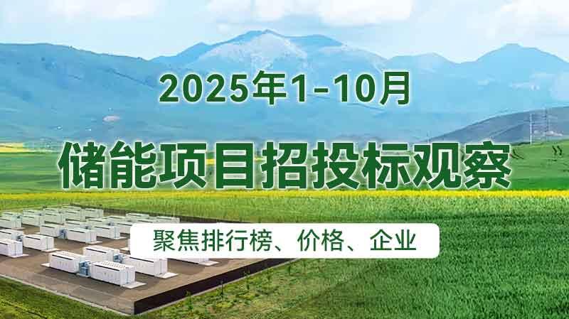 2025年1-10月储能中标分析
