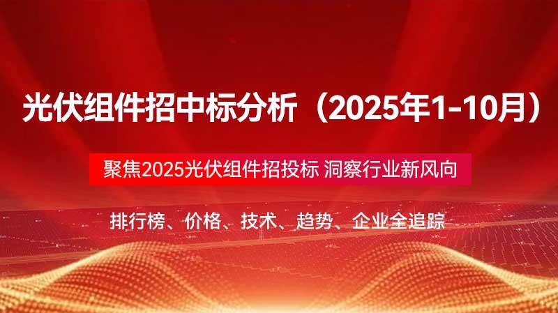 光伏组件招中标分析（2025年1-10月）