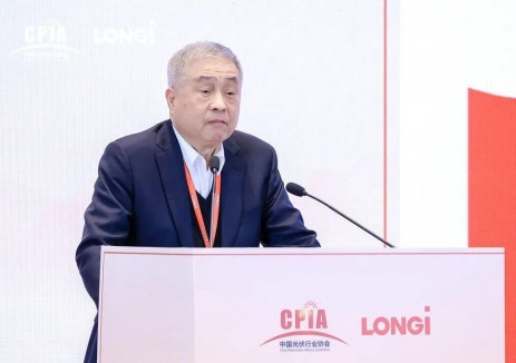 王勃华：2025年光伏行业在变化中重塑格局