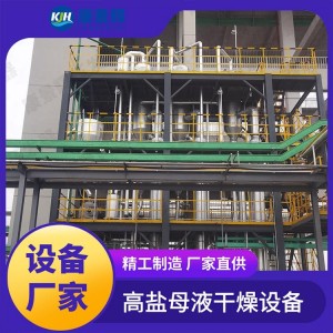 MVR精馏设备 康景辉 母液干化处理设备强制循环设备