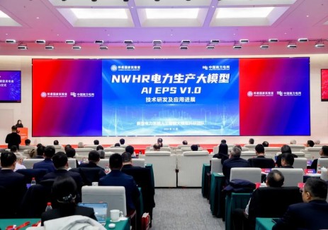 世界首个原生电力专业大模型发布