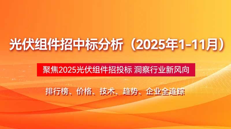 光伏组件招中标分析（2025年1-11月）