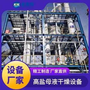 食品MVR浓缩蒸发器 康景辉 果汁饮料加工用 结构紧凑